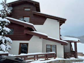 Vila Vuk Kopaonik